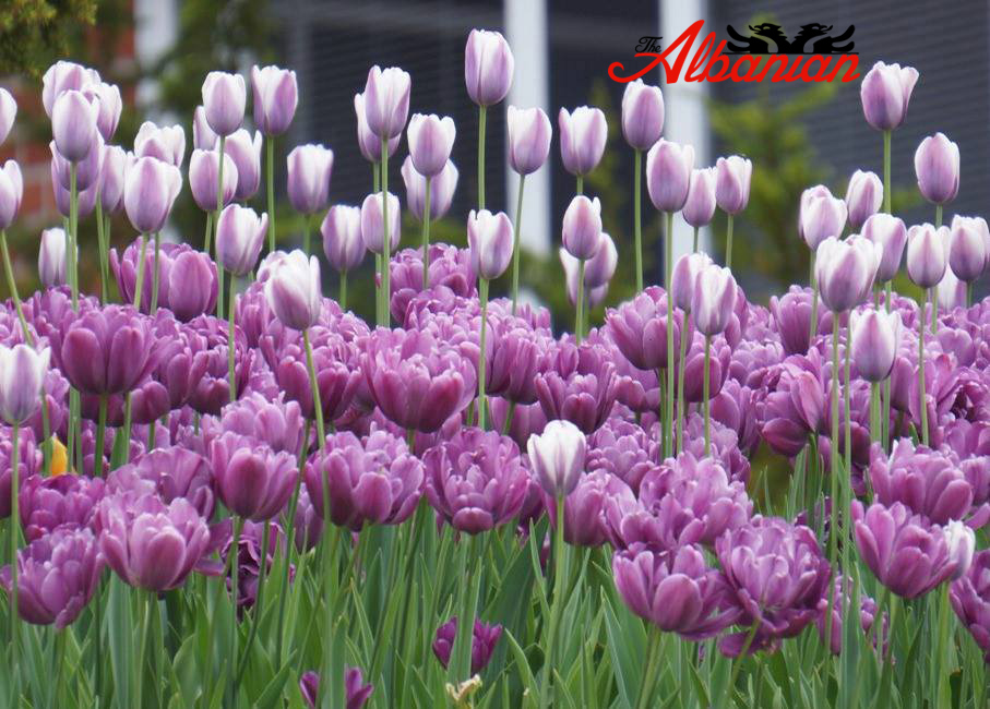 Horoskopi i dates 28 maj 2022