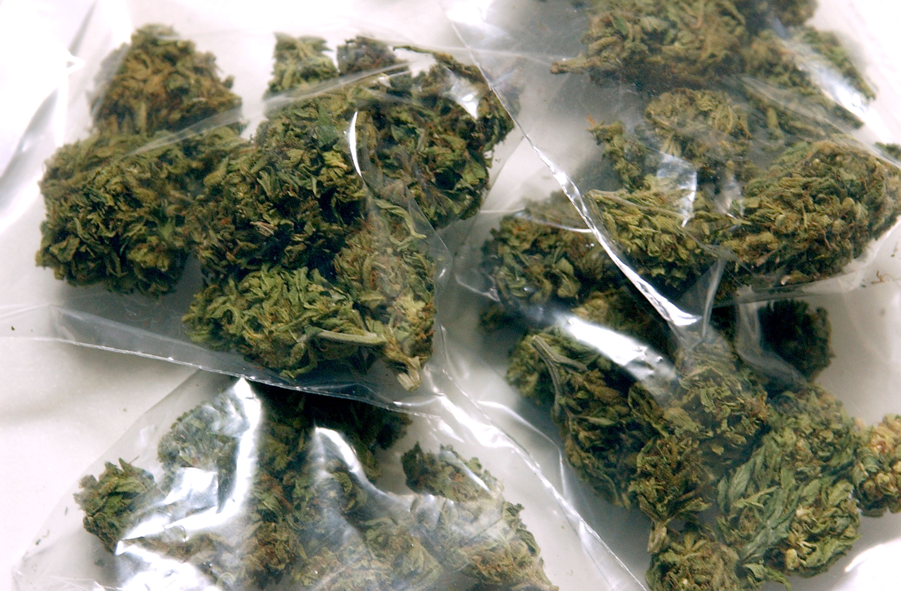 SAN FRANCISCO - JULY 25:   Baggies of marijuana ready for distibution at the San Francisco Patients Cooperative, a medical cannabis cooperative, are shown July 25, 2002 in San Francisco, California. A San Francisco city supervisor has drafted a proposal allowing voters in San Francisco to decide whether the city should consider getting into the marijuana growing business. Supervisor Mark Leno said he drafted the proposal because the Drug Enforcement Administration remains determined to close down clubs that distribute medical marijuana in San Francisco and other parts of California.  (Photo by Justin Sullivan/Getty Images)